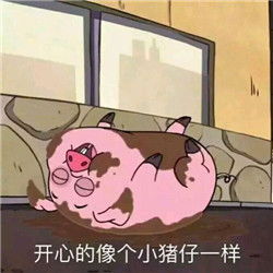 猪猪的凝视摇摇猪表情包