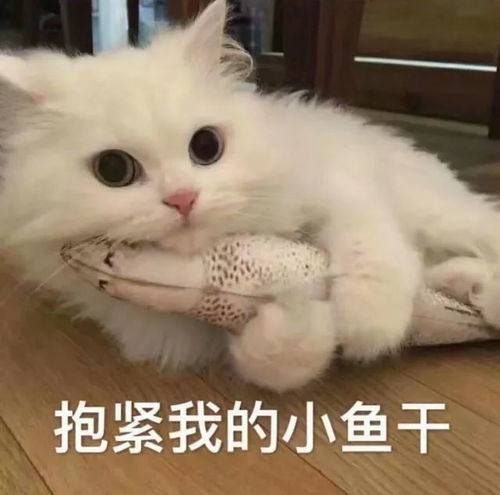 阿省商户吓得瑟瑟发抖获政府1050万赔偿的恐怖分子花巨资买下埃德蒙顿商场
