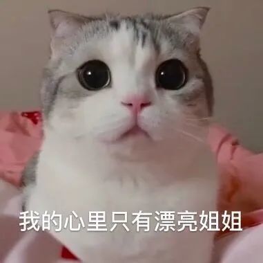 可爱的表情包,老弟有点搞笑