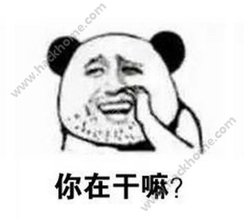 熊猫人暴走表情包下载熊猫人暴走猥琐微信表情包下载v1.0嗨客手机站