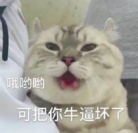 江苏高速服务区,甲天下
