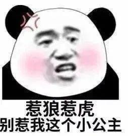 每日精选沙雕表情包