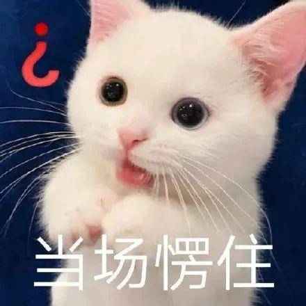 罚款获刑医保卡不能这样用
