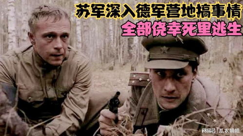 二战苏军侦察小队,4次深入德军营地搞事情,全部侥幸生还影视