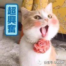 2022搞笑表情包考研