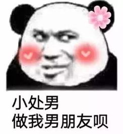 海量表情包仓库持续更新中