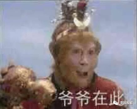 国外最新相亲节目大奇葩嘉宾全扮成性感野兽救命啊
