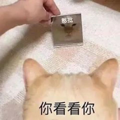 各类文字表情包搞笑可爱