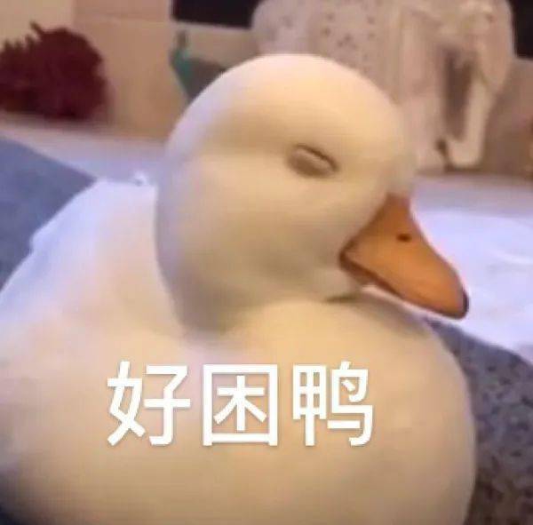 聊天搞怪表情包伤害我你就快乐了嘛