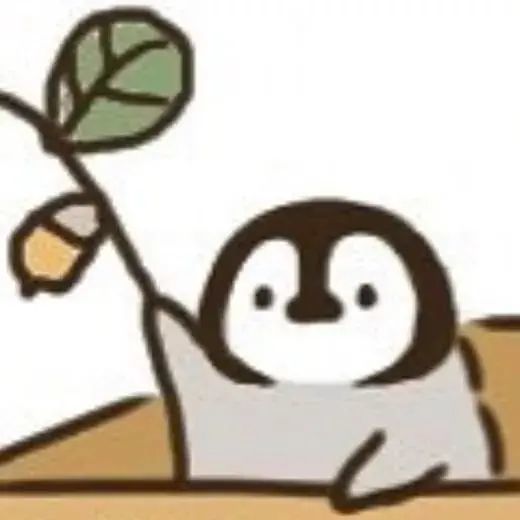 拿到圣心的offer是我的第一个目标