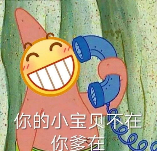 壁纸睡了吗来斗图啊
