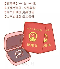 老婆的使用说明书终于出世了谁编的肚子笑疼了