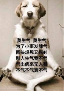 世界上有一种欺骗叫自拍但是有一种真实叫别人相机里的你