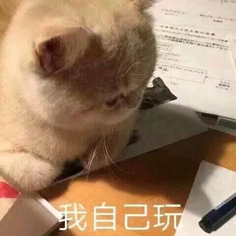 震惊辽宁结婚率全国倒数第四你为啥还不结婚