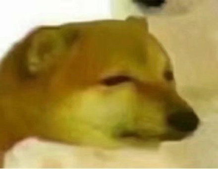 柴犬cheems狗子表情包