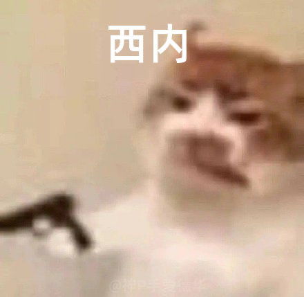 恶心人大事件呕吐星人来访