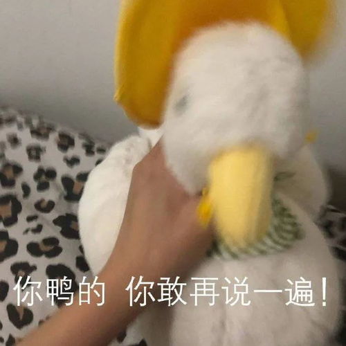 表情包美少女的疑惑