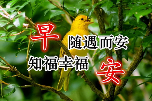 早上好的短句子早上好表情早上好问候专辑早上好表情包
