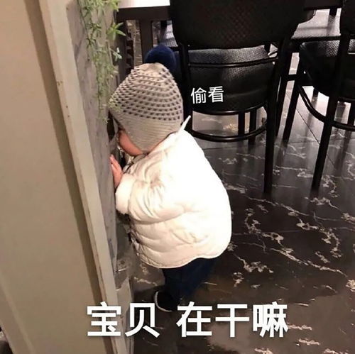 张艺兴郑钧陈粒gai直播立flag,这届唱作人太难带了