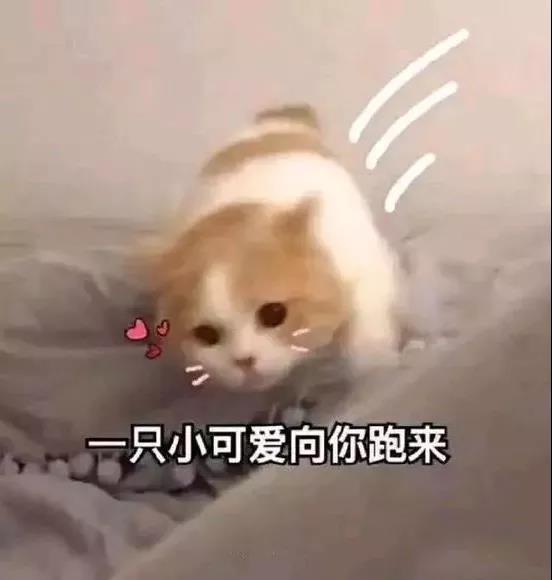 幽默笑话老婆做饭下手很重,我跟她说了好几次别太咸