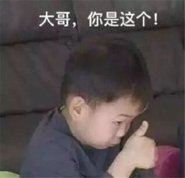寻找独特的姓氏