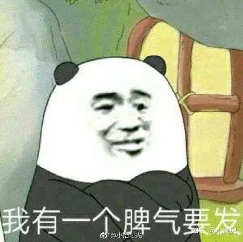 合工大现况如何是不是走向了衰落可能的原因有哪些