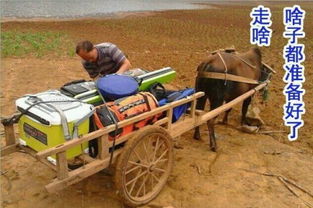 钓鱼qq图片钓鱼搞笑动态图片大全qq搞笑表情窝窝qq网