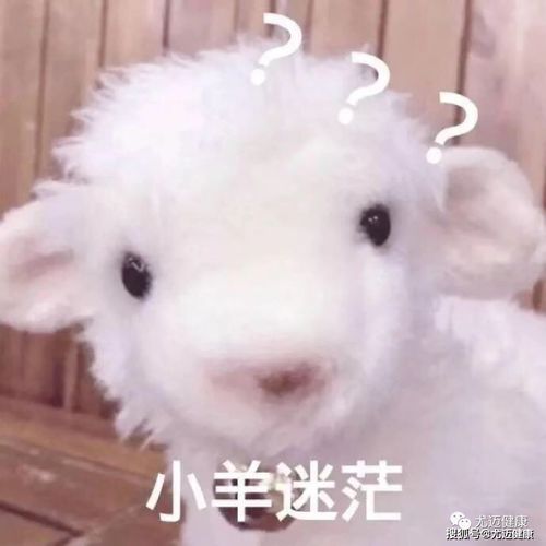 羊表情包搞笑图片广东人