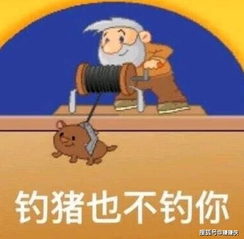 搞笑表情包图片你好可爱鸭