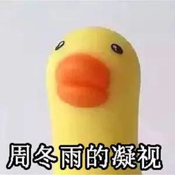 哈哈哈哈心疼又好笑撞脸撞成这样也是没谁了