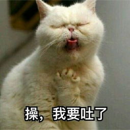 上号了就等你了lol手游表情包lol手游表情