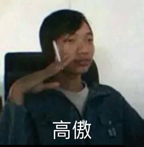 搞笑头像沙雕表情包段子