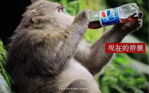 尹烨人类肠道里约有34斤细菌,世纪内预期寿命会接近百岁