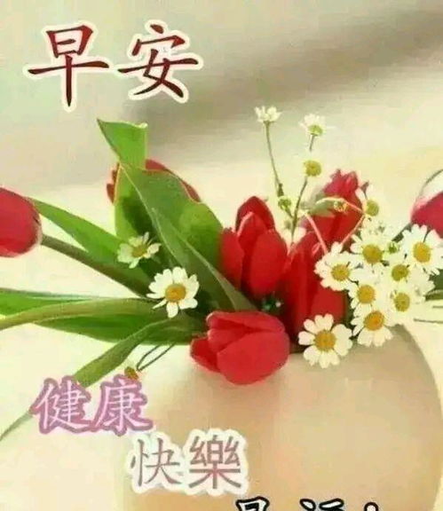 早晨问安世界虽残酷,但只要你愿意走,总会有路,早上好