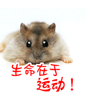 qq表情搞笑qq表情动物图片生命在于运动