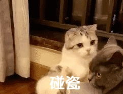 大家见过那些沙雕图片,想和别人分享呢