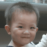吵架的搞笑动态表情包两只