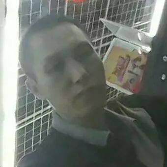雪花也会温暖龙良宝