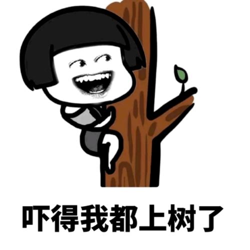 有可能下雪最新预报来了