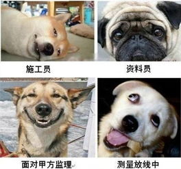 爆笑建筑施工人员表情图搬砖工地人员表情包