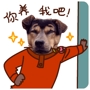 快过年了,什么事都别忘了你家小主子