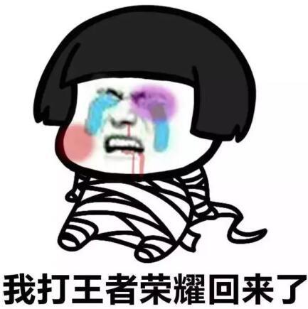 王者荣耀斗图表情包第171期你负责一打五我负责躺