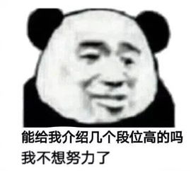 快乐源泉沙雕熊猫头表情包