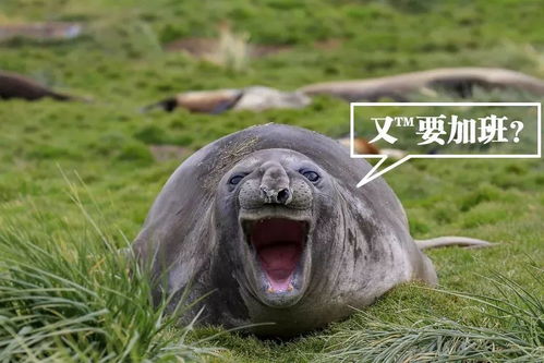 你愿意陪我一起加班吗不愿意