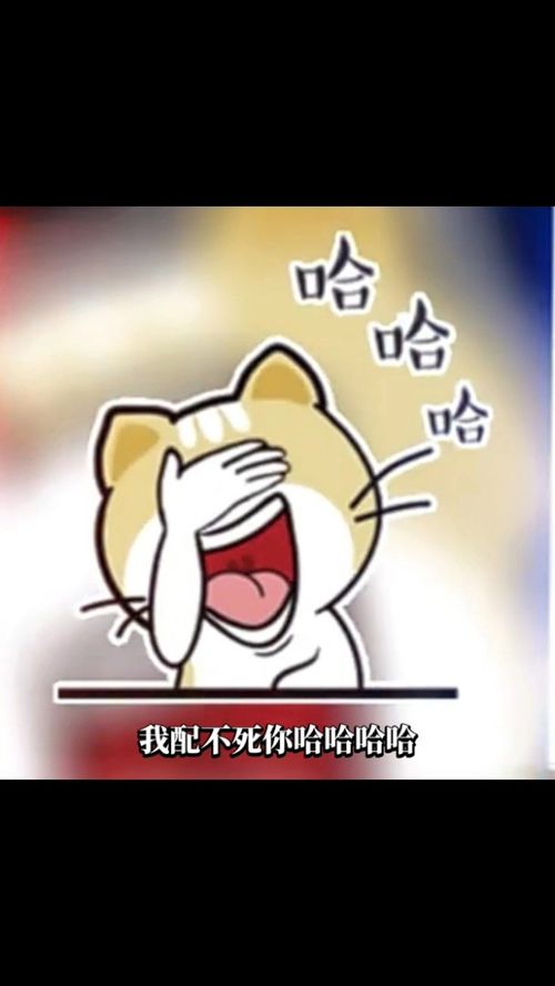 内容过于真实专治不开心人生百味自己体会