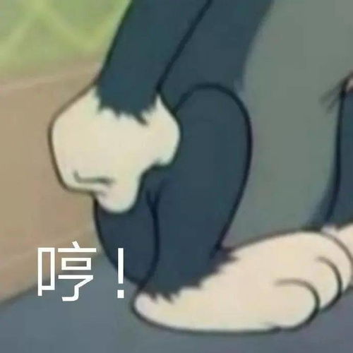 跟你超配的沙雕表情包
