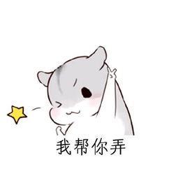 万能聊天回复,这几句话足以搞定女朋友仓鼠斗图表情包搞笑图片