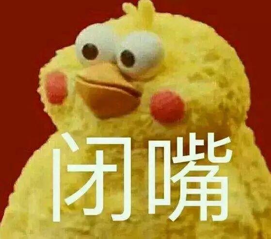 下大雨搞笑表情包鹦鹉