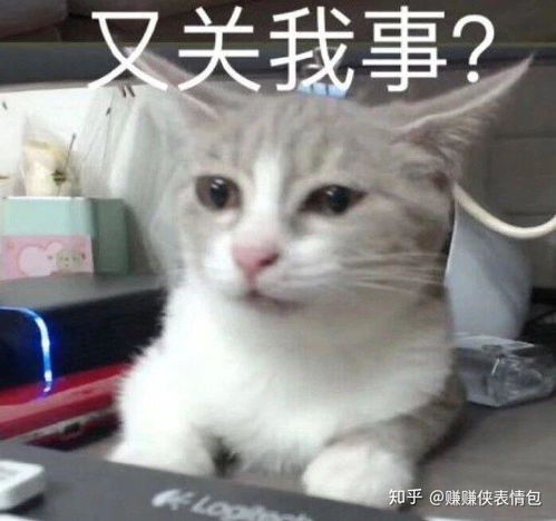 搞笑表情包图片逗你笑,我是认真的