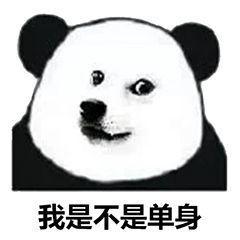 有人问我是不是单身,我是双身啊我抖音搞笑表情包